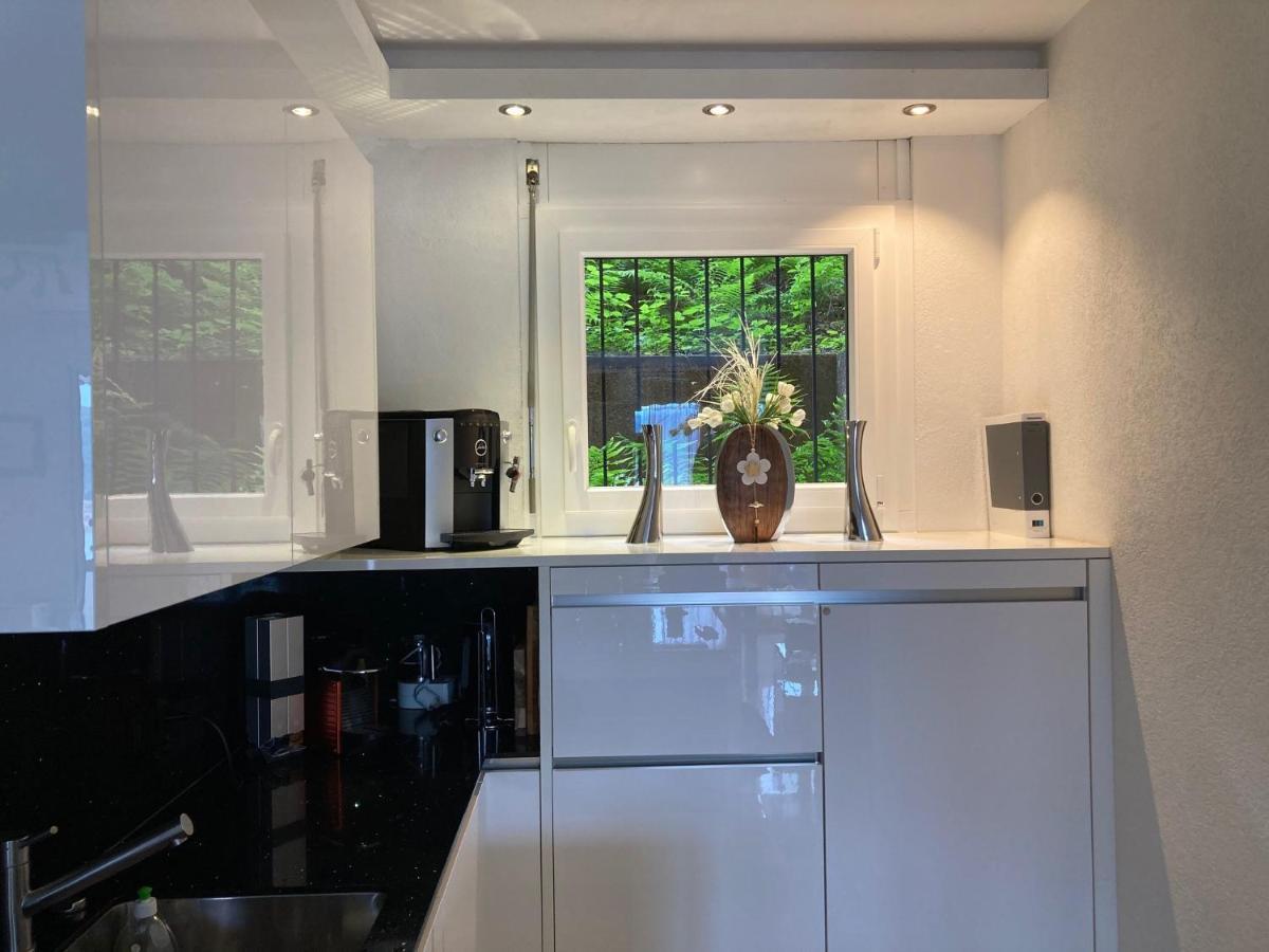 Appartement Novotna Ponte Tresa Eksteriør billede